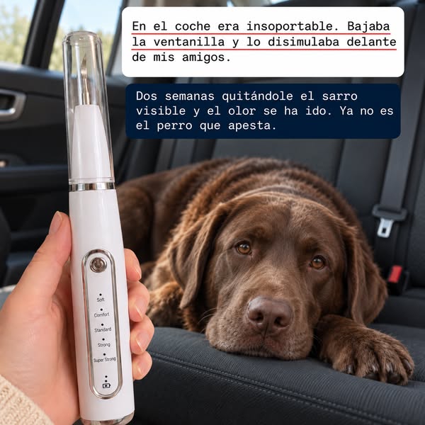 Limpieza dental en casa, sin anestesia