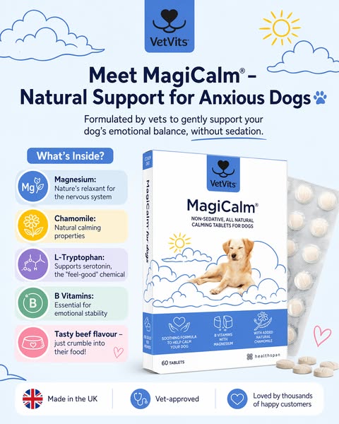 Vet-Formulated Calm for Your Canine | £7.99 Today!