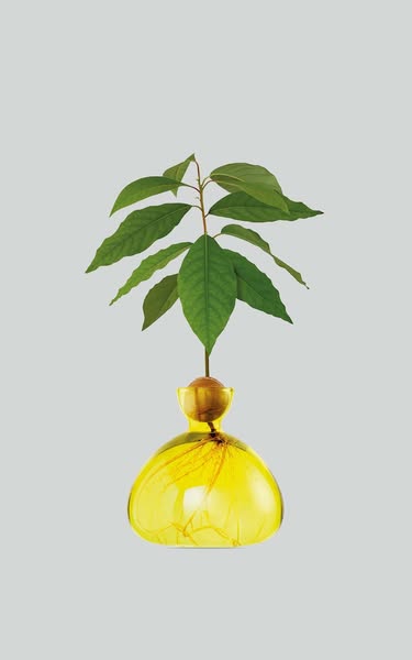 Ilex Studio - Geel Woonaccessoires