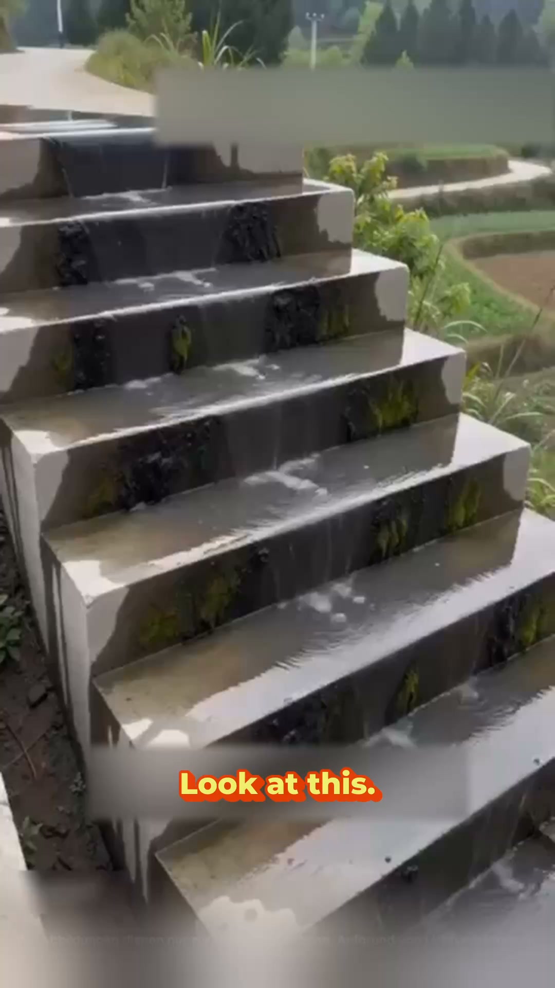 Say Goodbye to Slow Drains and Unpleasant Odours