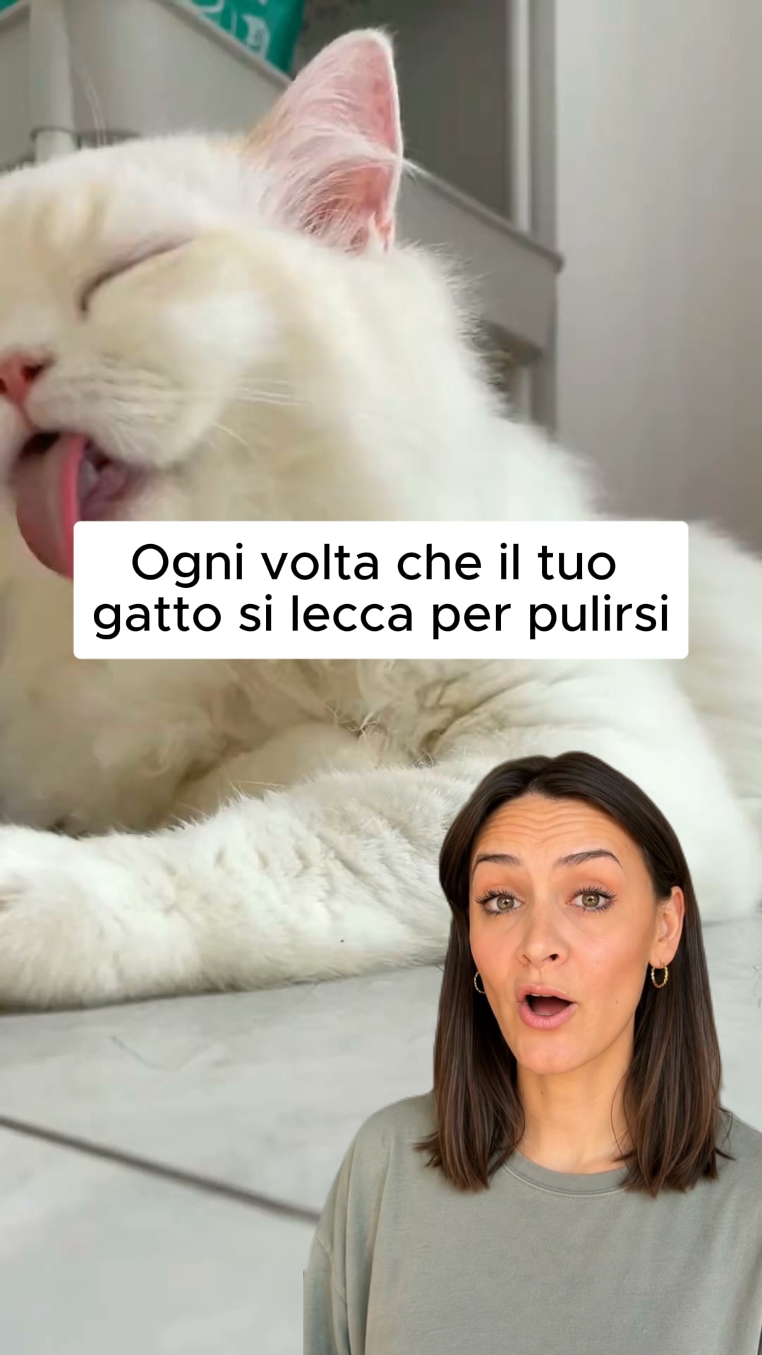 1 acquistato, 1 in OMAGGIO