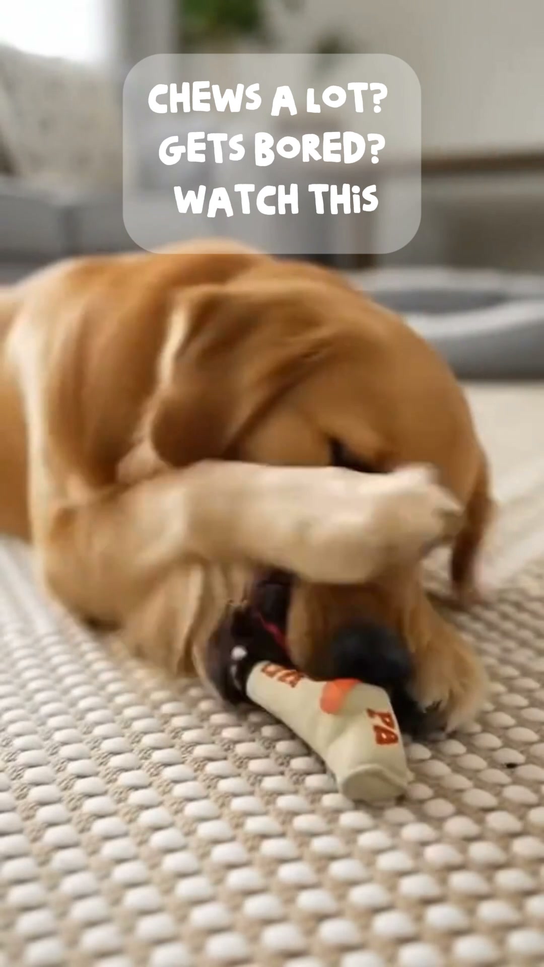Pawgars™ | Cigar Chew Toy
