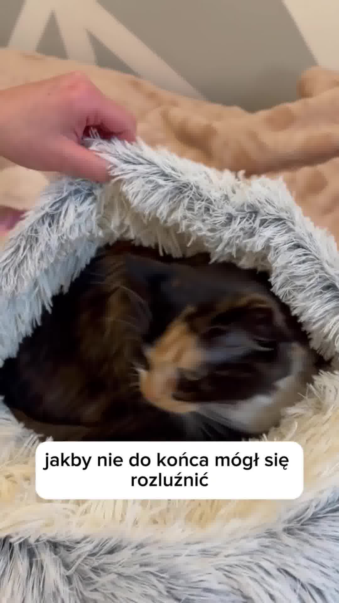 Tylko dziś: -50% i darmowa dostawa!