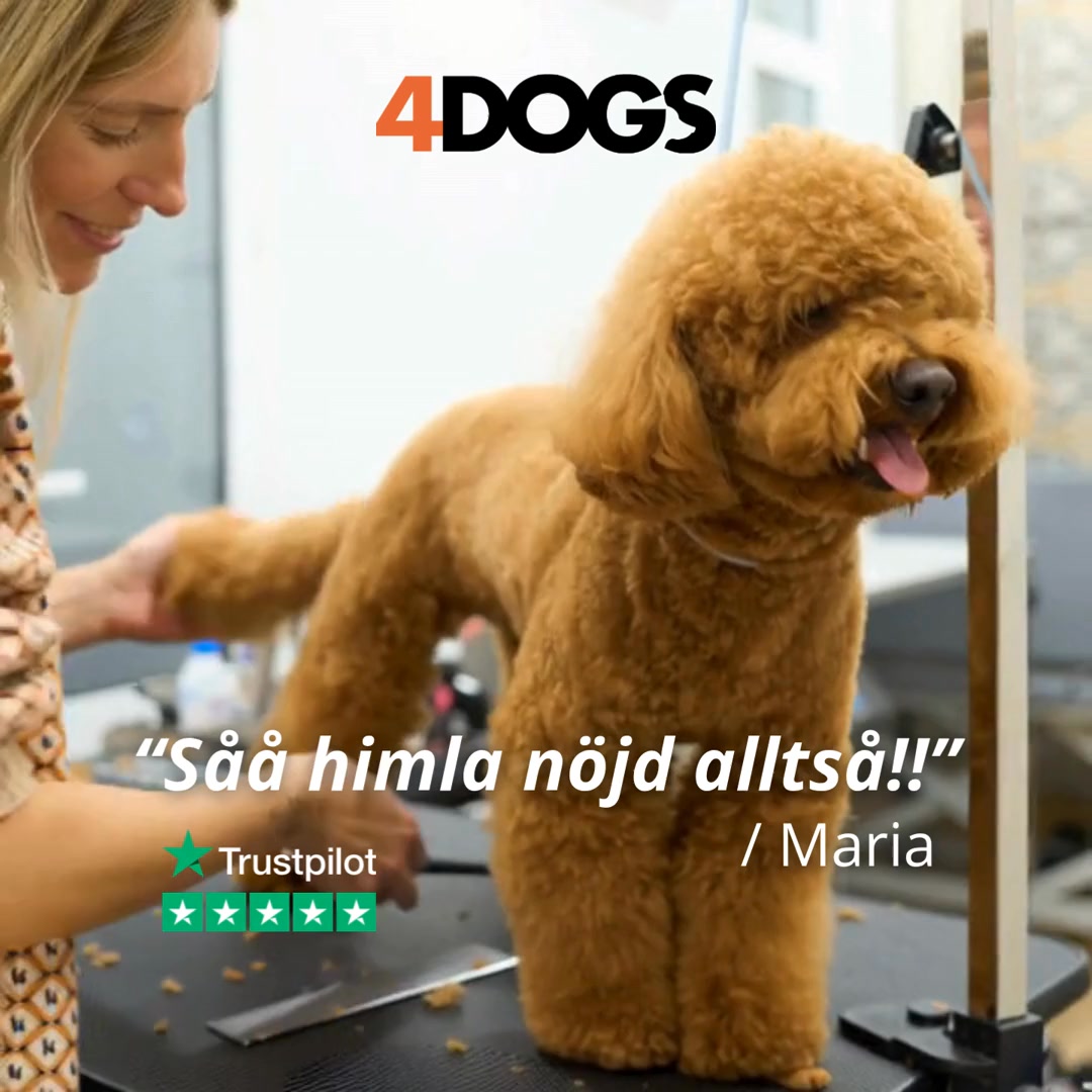 4,8/5 | +3 800 omdömen | Trustpilot