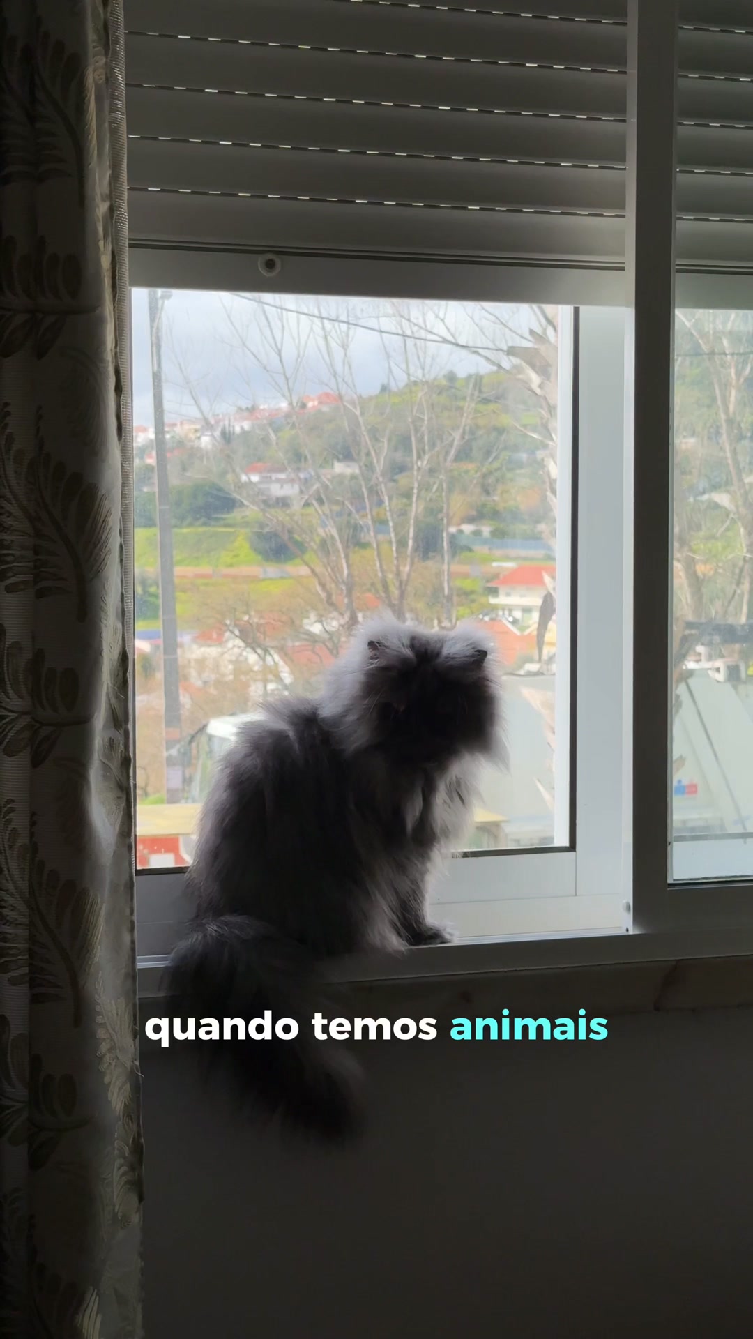 Fórmula profissional que neutraliza o odor na origem