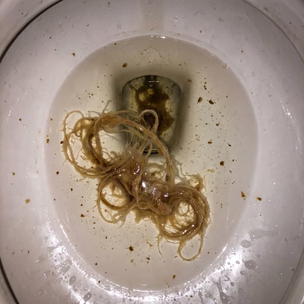32 Years As A Nurse, And This Finally Broke The Cycle