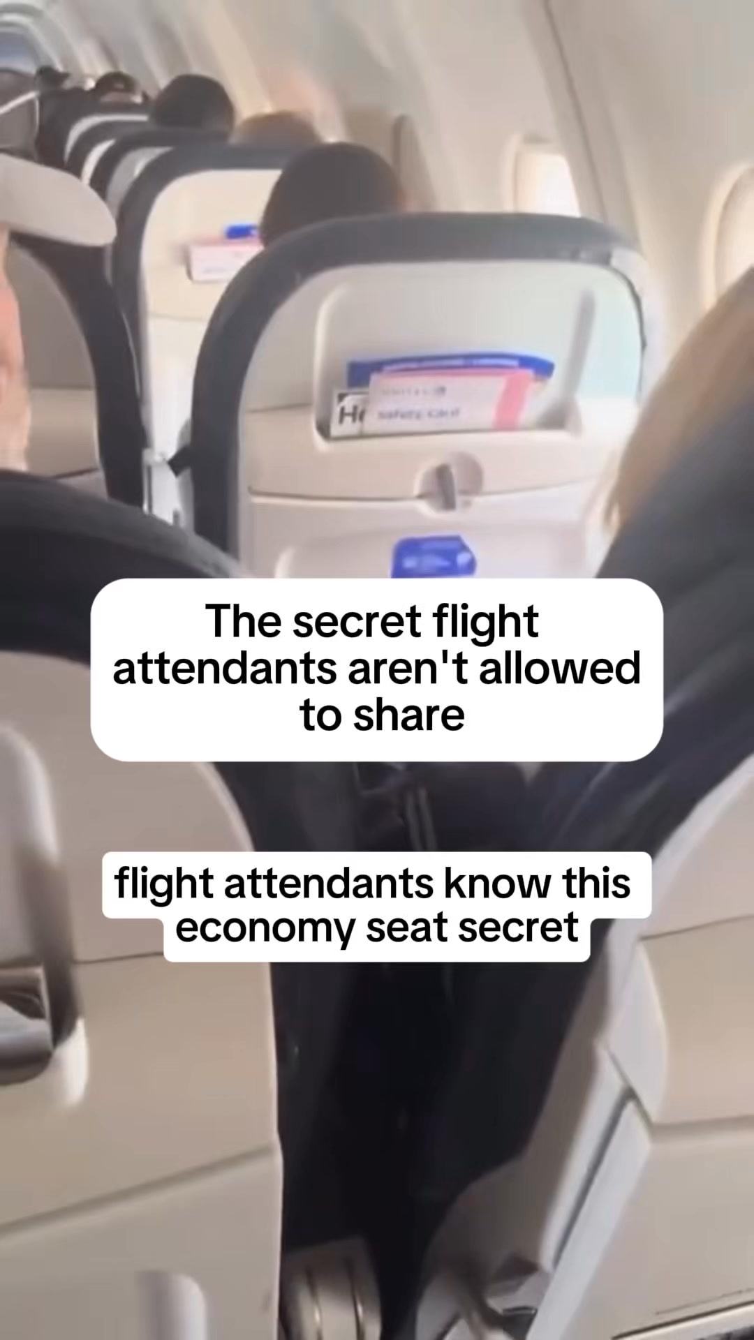 The Perfect Travel Seat Cushion