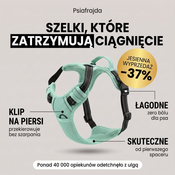 Jak oduczyć psa ciągnięcia na smyczy bez tresury