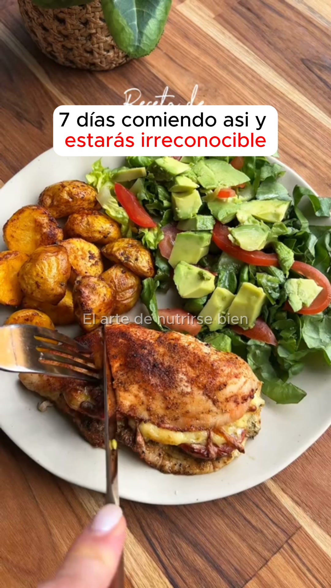 +10,259 DESCARGAS