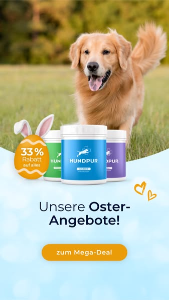 33% Rabatt