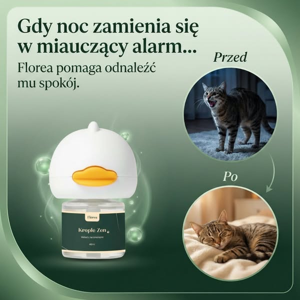 Feromony Florea - Koci Zen