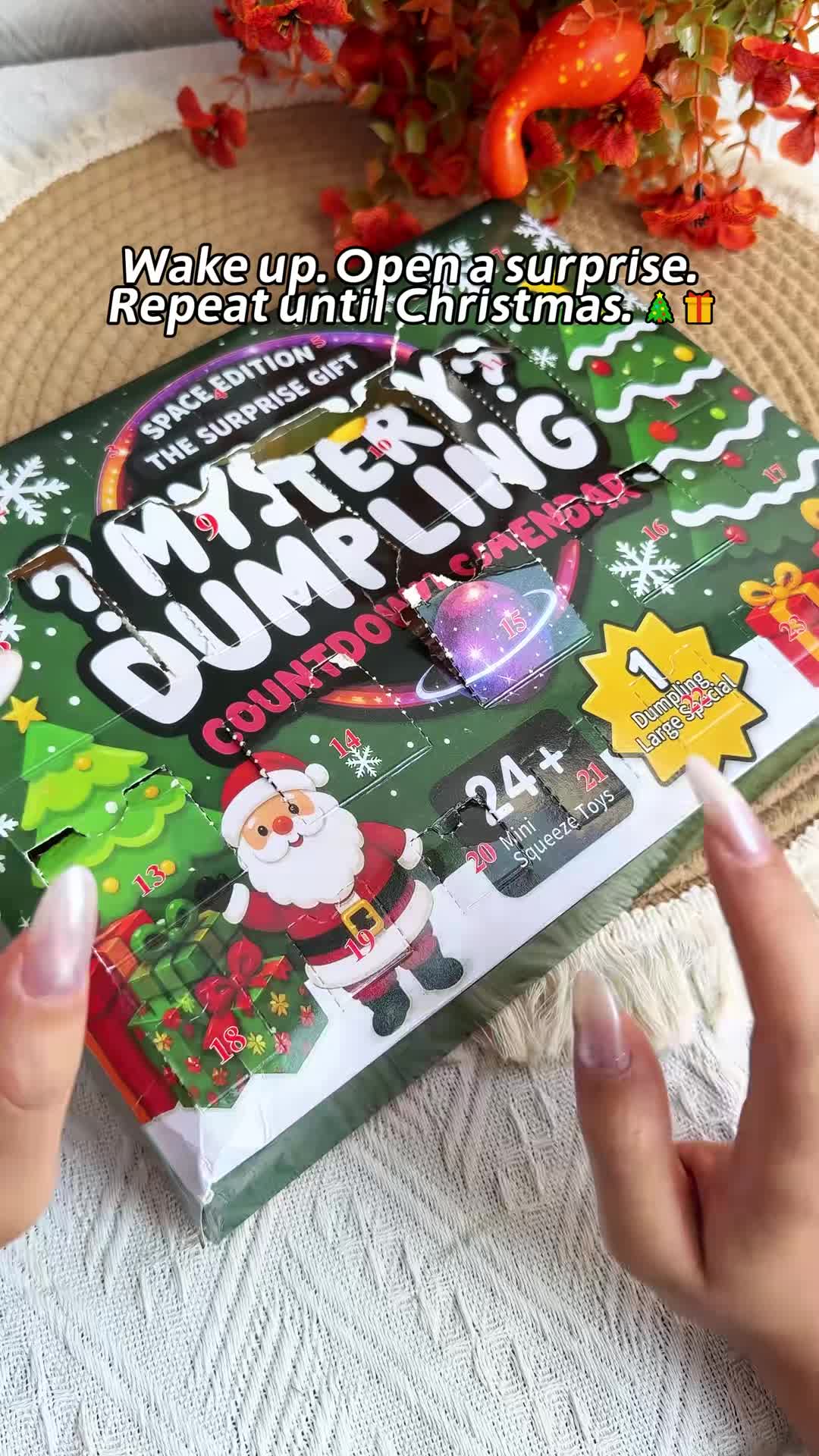 Christmas Dumpling Squishy Advent Calendar - 24 Surprise Toys Inside!