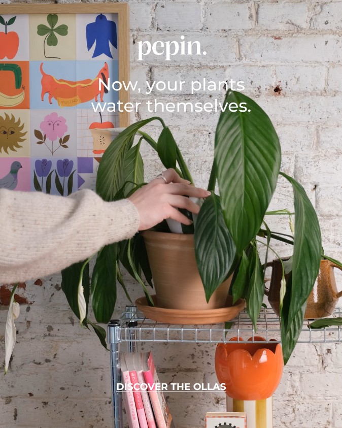 Your new plant sitter