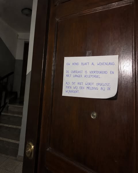 Heb je een Labrador? Lees dit