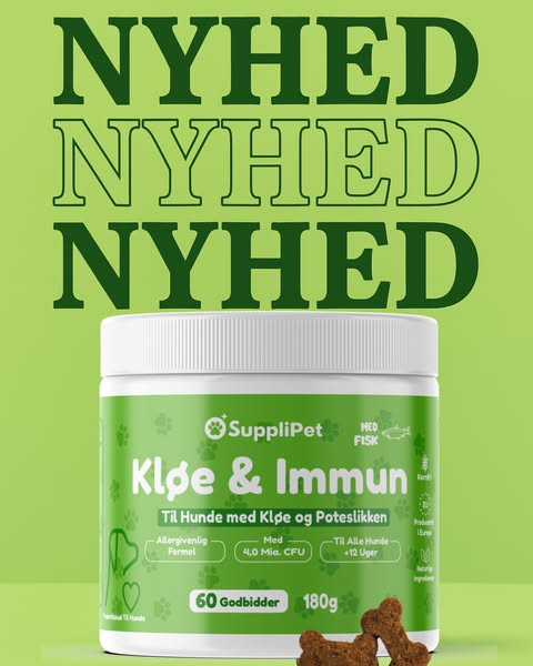 Hjælp Din Hund I Dag