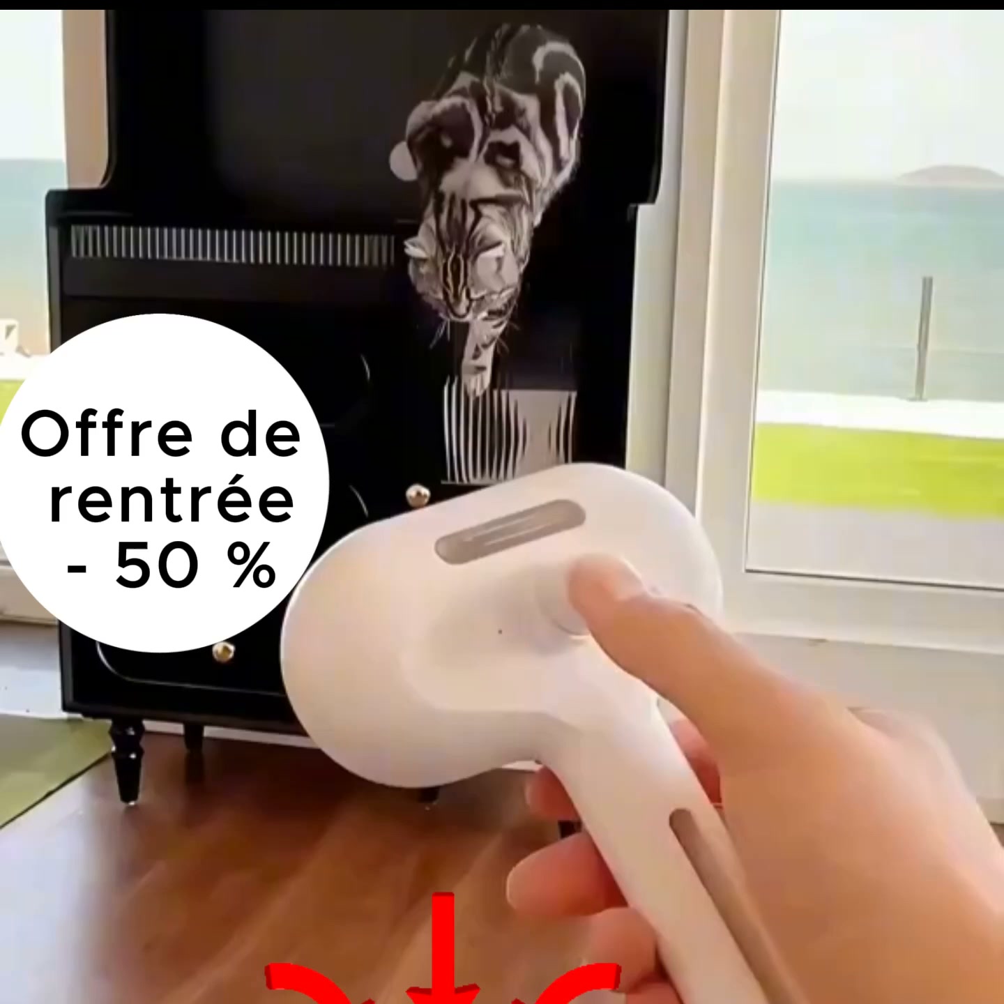 Brosse vapeur pour animaux – 3-en-1
