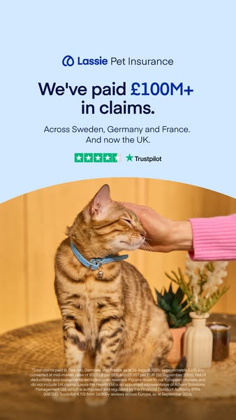 Insure your pet today