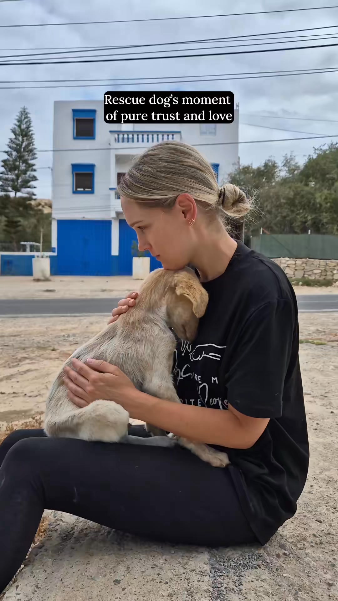Every rescue mom and dad needs to know this exists.