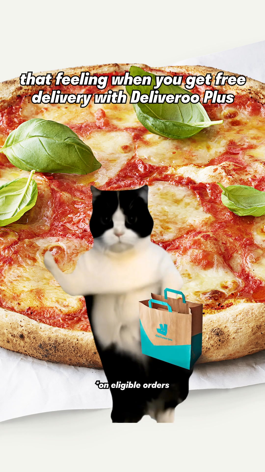 Free delivery with Deliveroo Plus