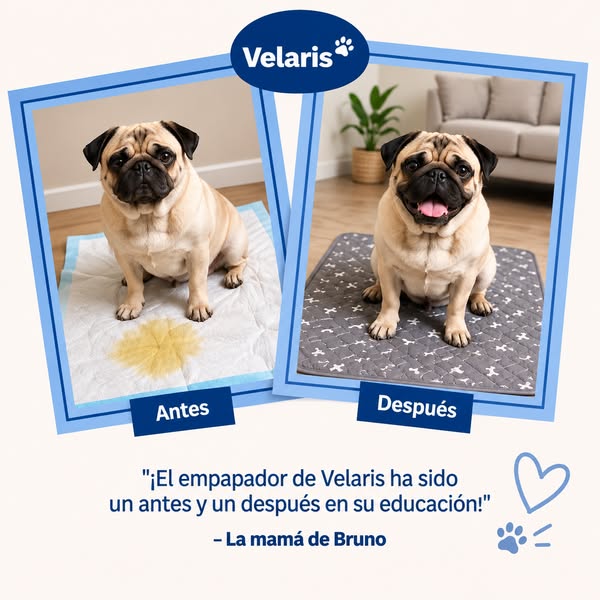 Velaris DryPaw™ | Empapador Reutilizable