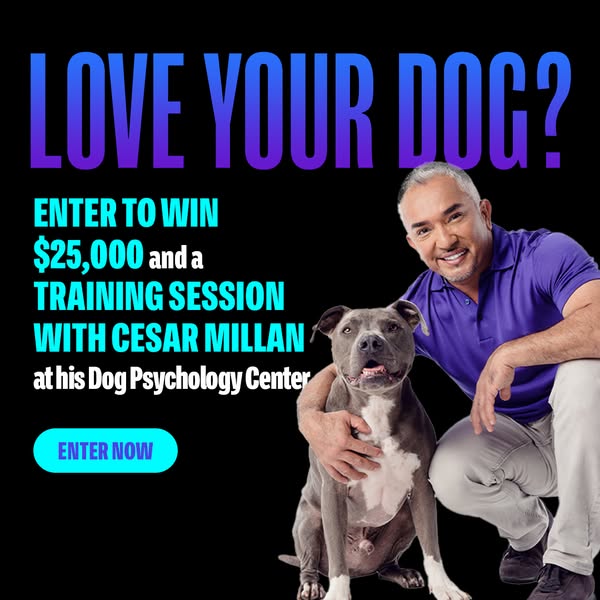 Win $25,000 and a Private Training Session with Me