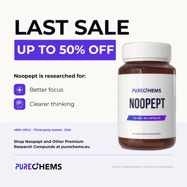 Summer Sale Up To 50% Off