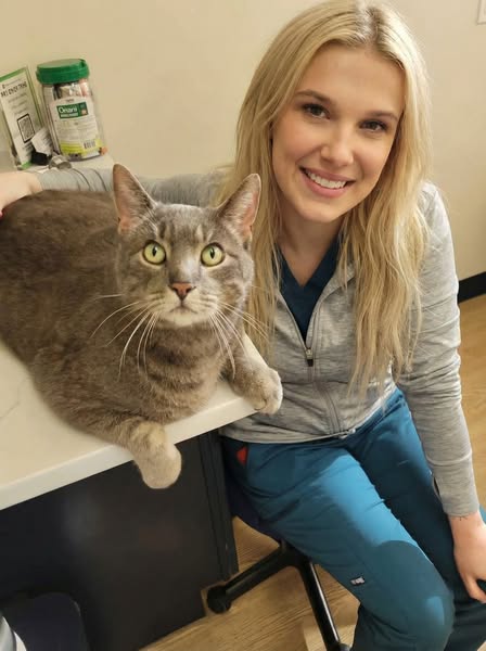 Veterinarian Speaks The Truth..