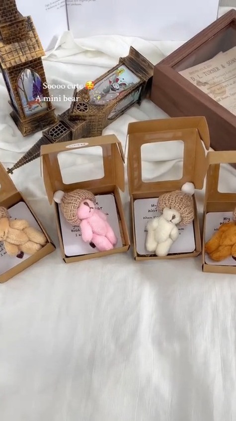 Pocket Teddy Bear Mini Plush Bear Boxed Gift
