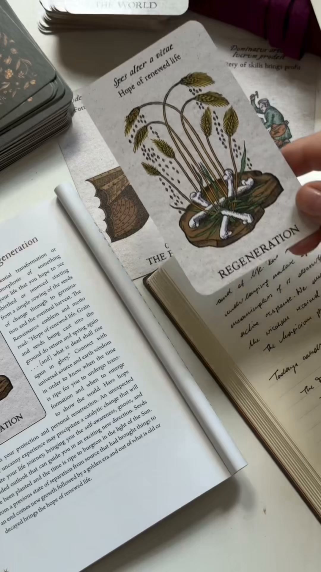 Ultimate Tarot Bundle • 90% OFF