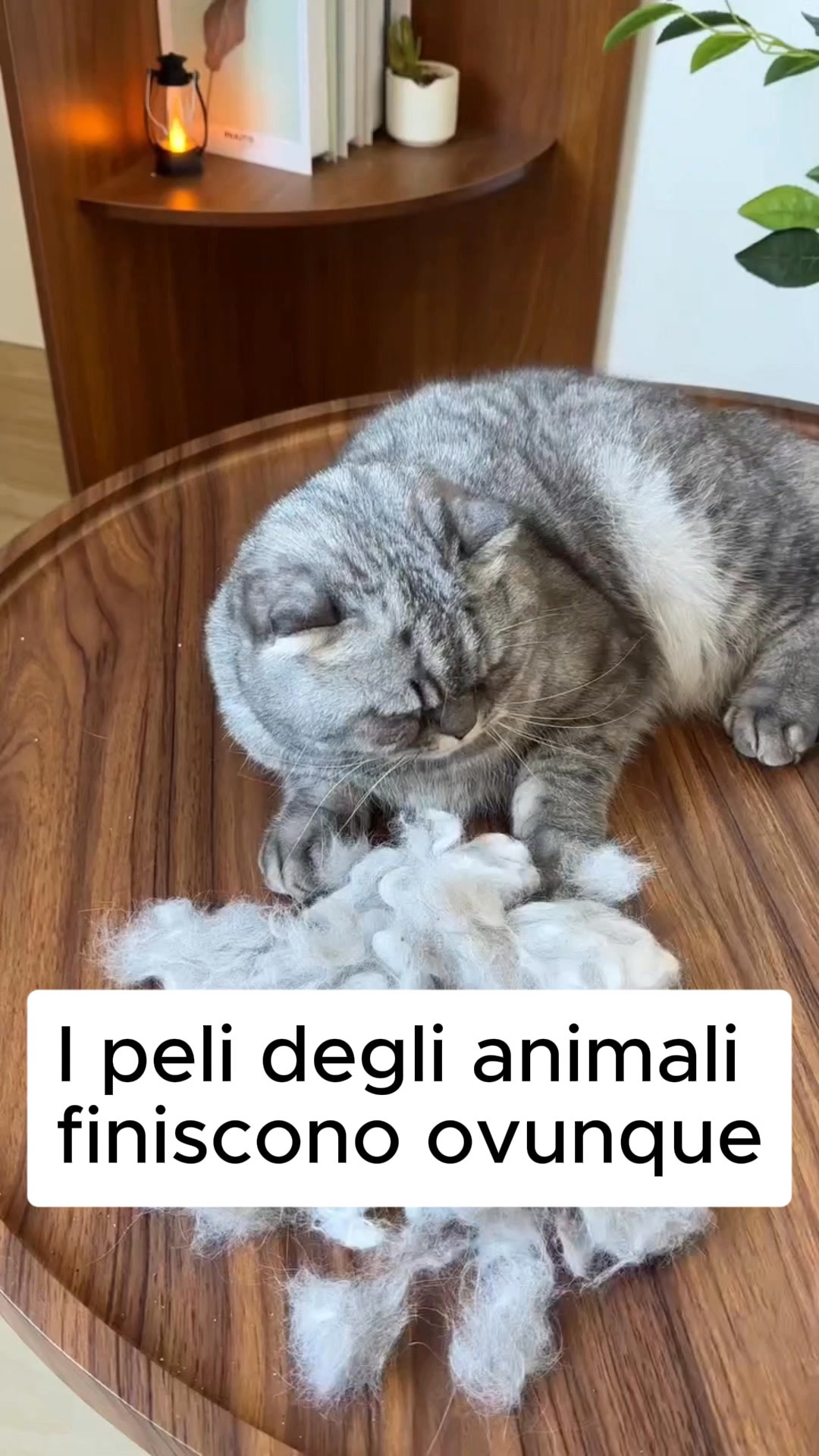 1 acquistato, 1 in OMAGGIO