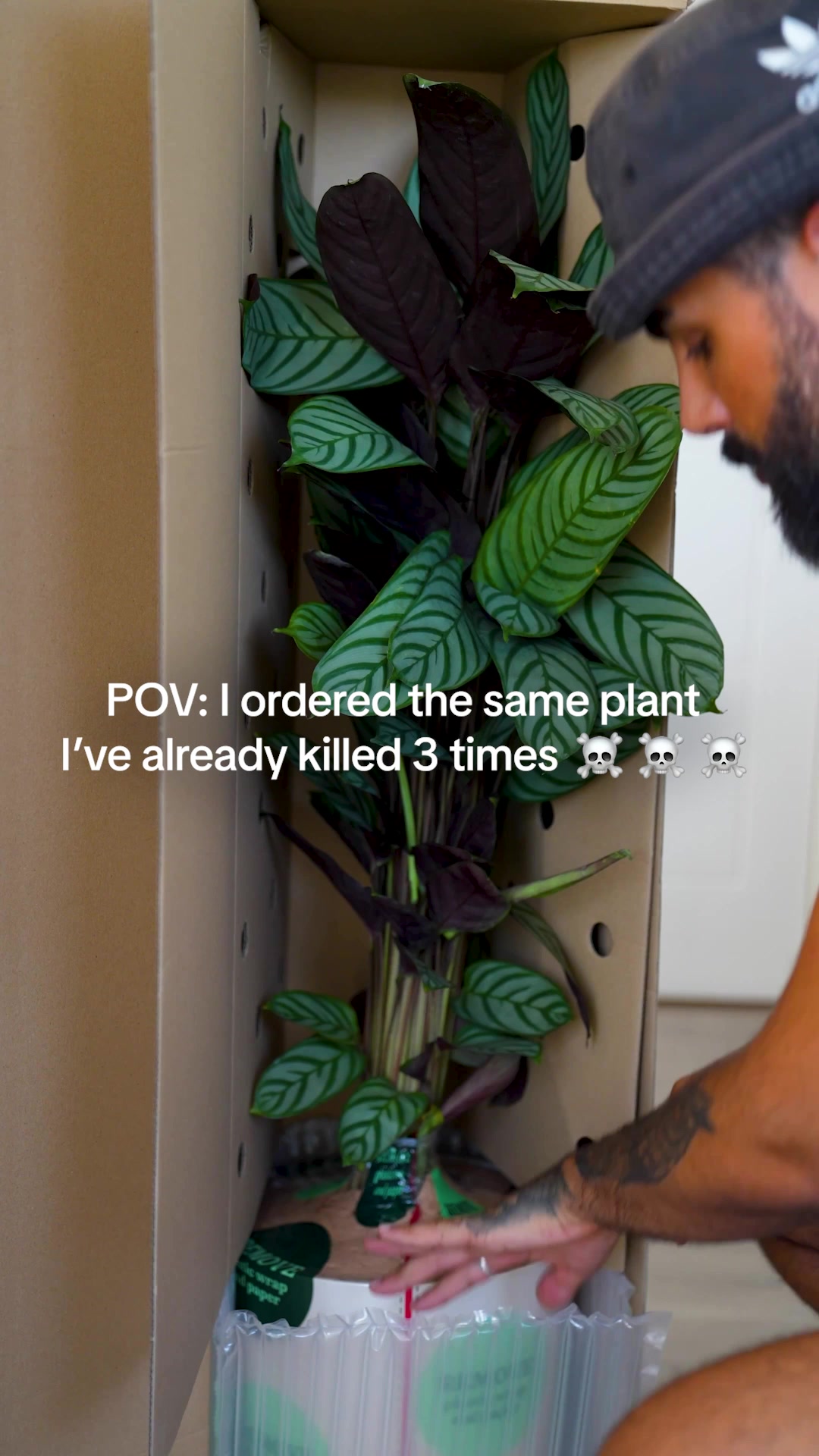 These are NO ordinary plants!