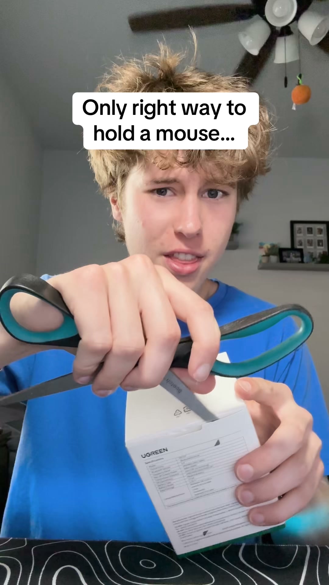 (Rated 4.8/5)