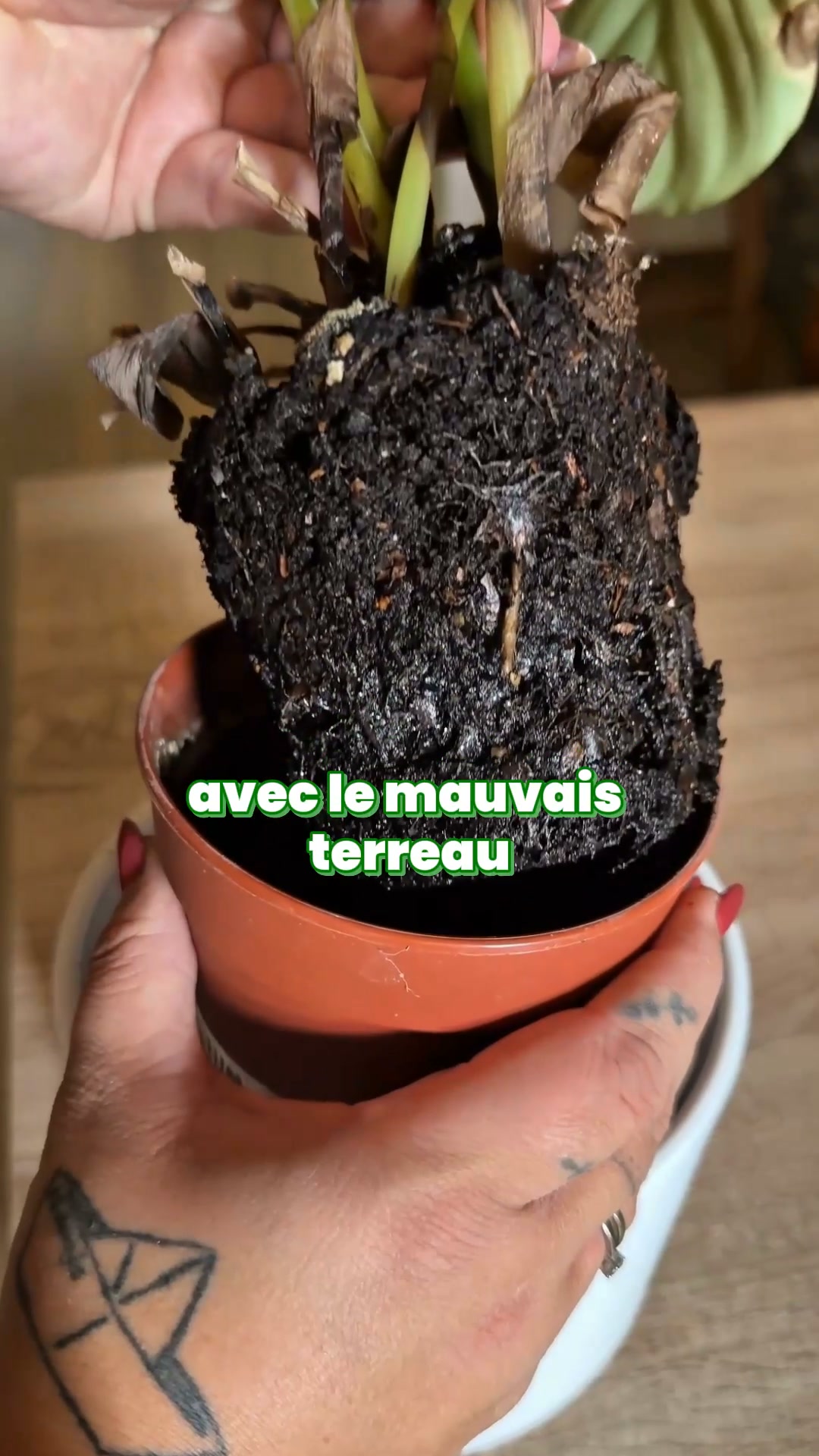 Noté 4,8/5 sur trustpilot ( 5000+)