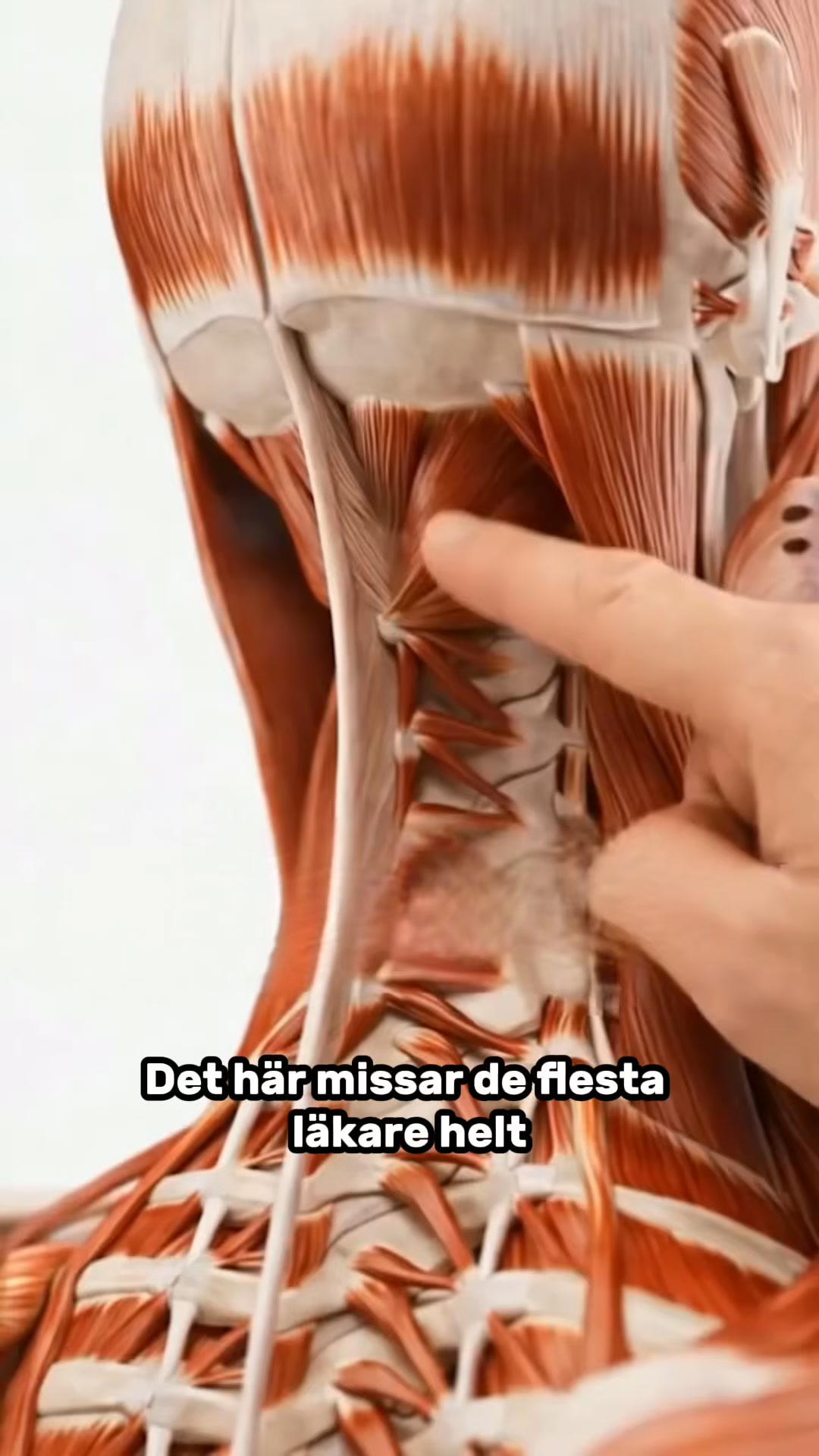Lindra smärtan i nacken