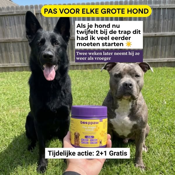 70% van de baasjes bestelt dit opnieuw