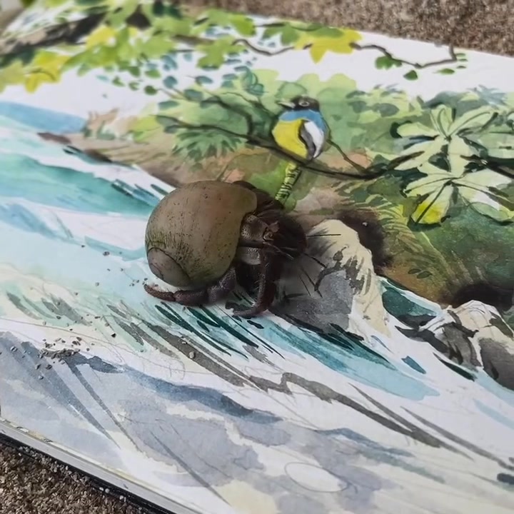 FREE Travel Sketctching Bootcamp
