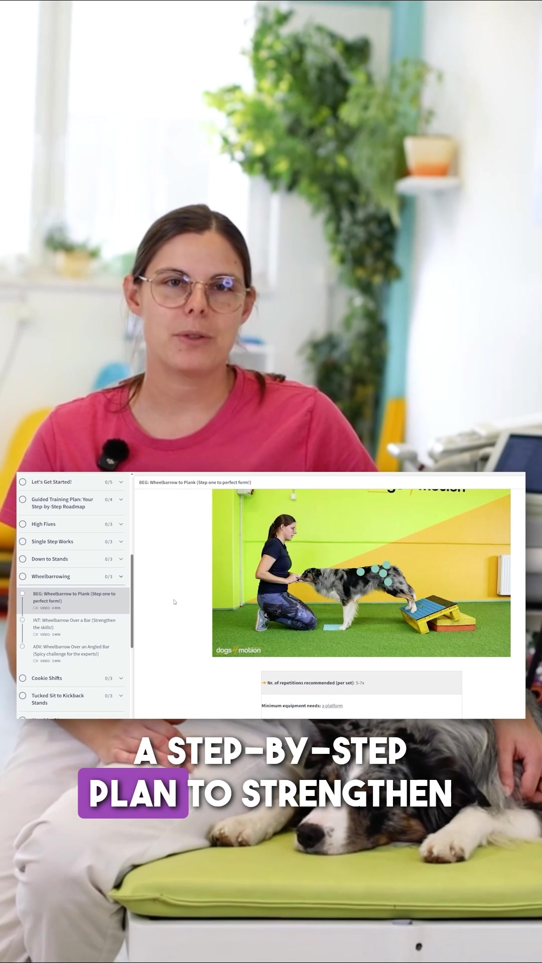Shoulder Strength for Sport & Active Dogs