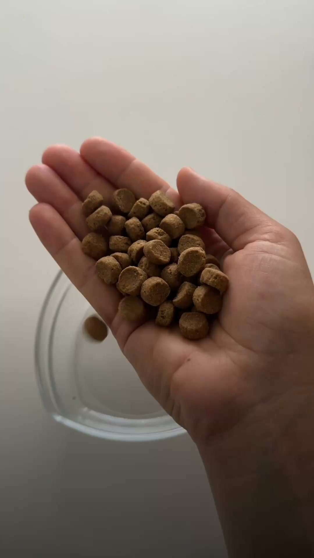 Gratis proefpakket voor je hond