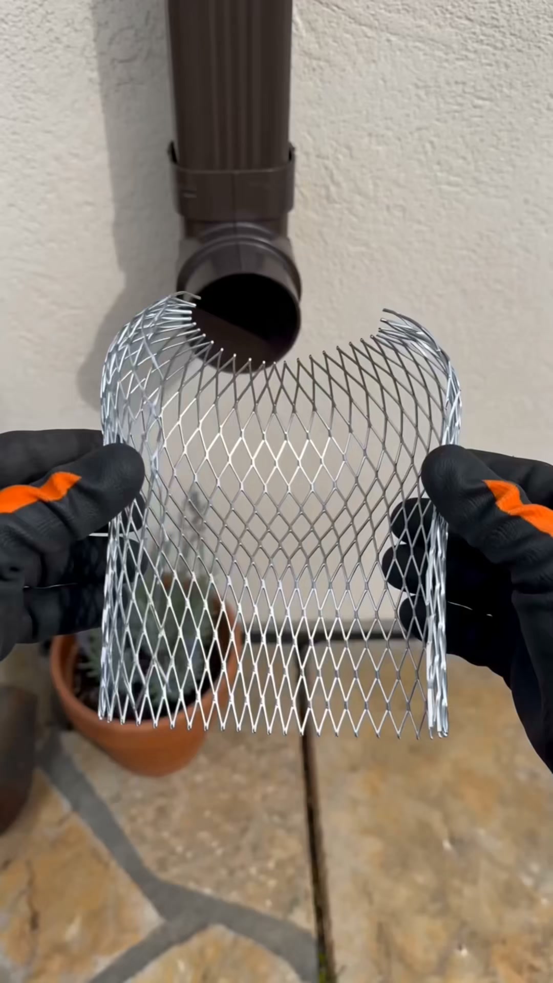 Anúncio de Stringlied.TP