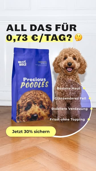 Speziell für Pudel & Doodles