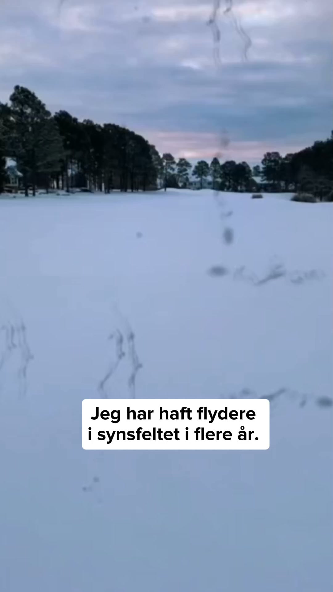 Prøv risikofrit