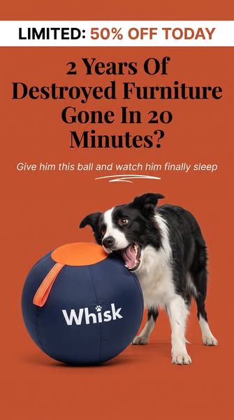 20 Minutes. Zero Destroyed Furniture.