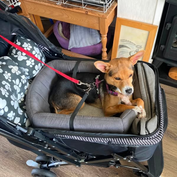 When Surgery Isn’t Within Reach, Support the Steps That Still Matter