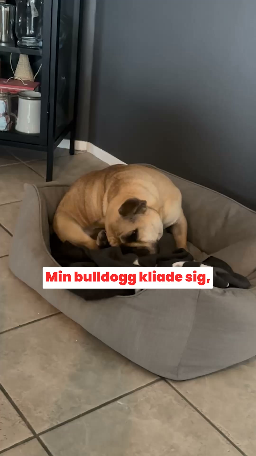 Mer Kliande och Oro När Säsongen Skiftar? Dessa Godbitar Stödjer Inifrån