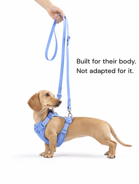 Built for Their Body. Not Adapted for It.
