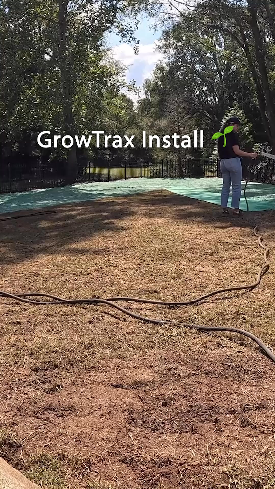 Get a Lush Green Lawn That's the Envy of Your Neighbours!