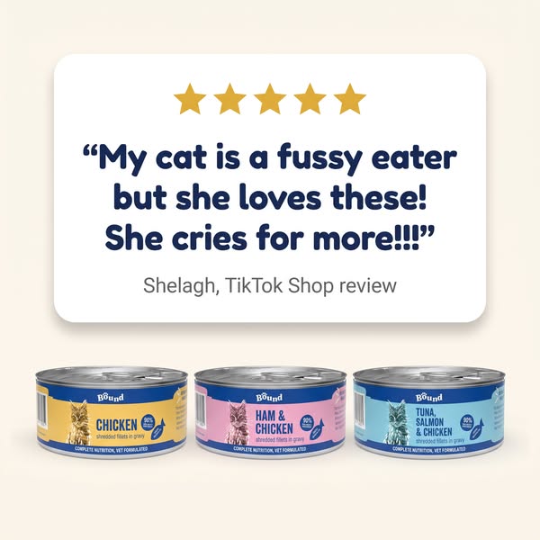 Only £7.99 for 12 Tins!
