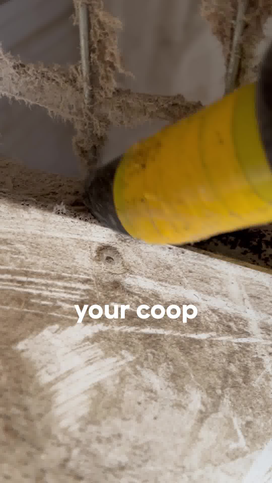 Keep your chickens safe