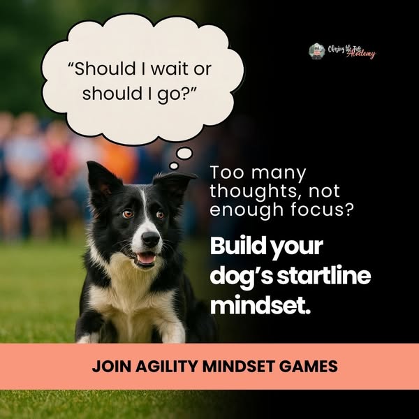 New: Agility Mindset Games - $27