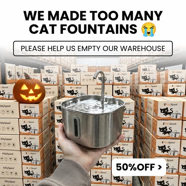 MEOWLLOWEEN SALE | 50% OFF + FREE GIFTS